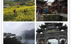 品江西美景 促同仁情谊
