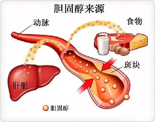 918博天堂 --官网首页